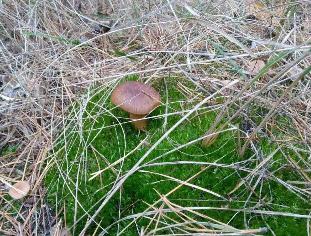 Будинок в селі Ватажково.