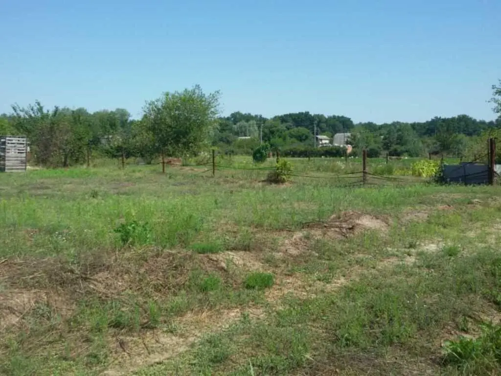 Ділянка в Петрівці