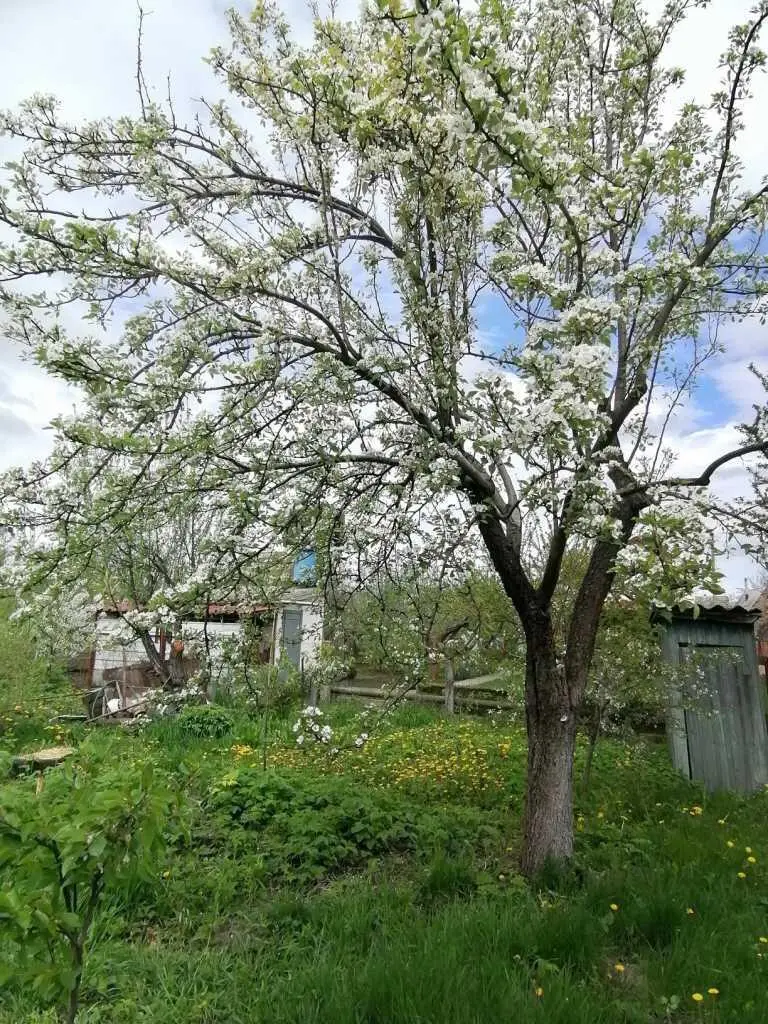 Ділянка в районі Вакуленської дамби