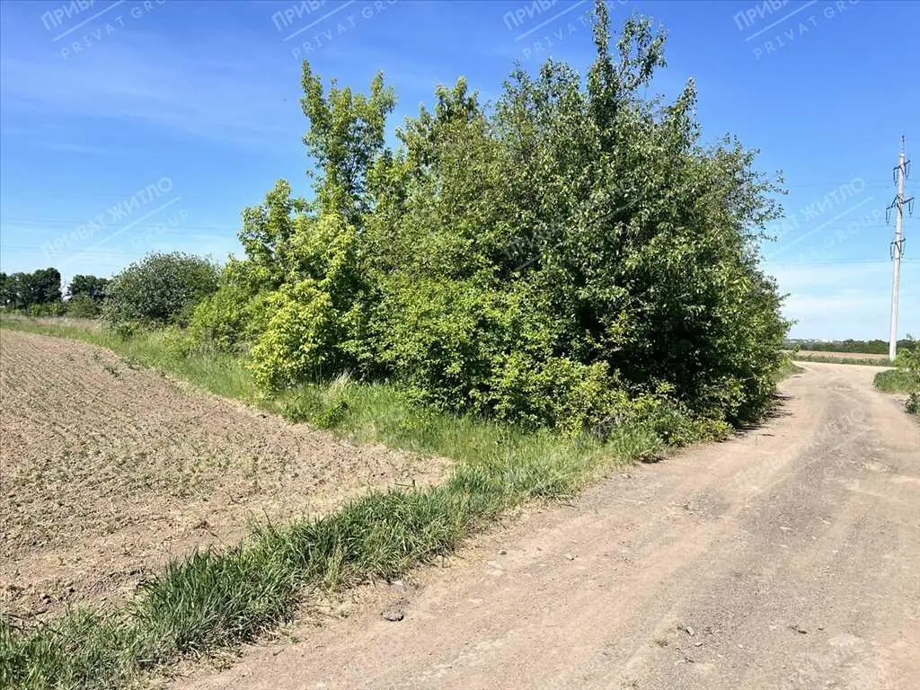 Земельна ділянка у Мачухах