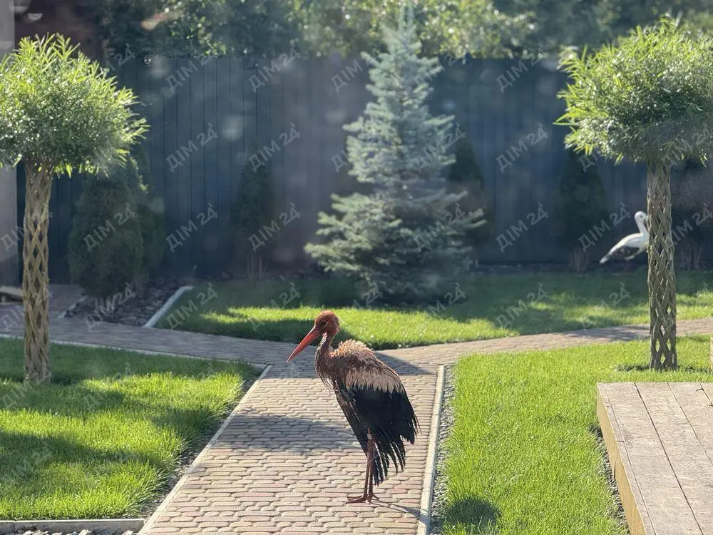 Шикарний будинок у Нових Санжарах