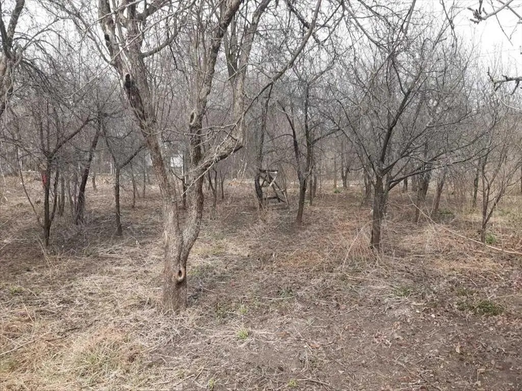 Будинок з великою ділянкою в Гожулах