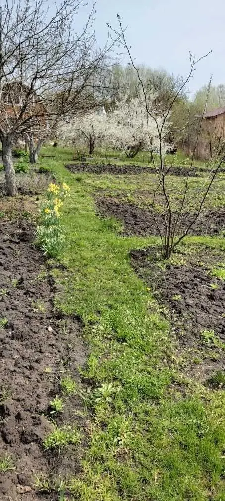 Ділянка для садівництва в Їжаківці
