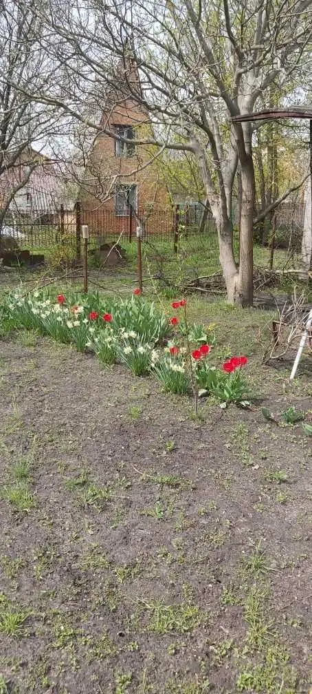 Ділянка для садівництва в Їжаківці