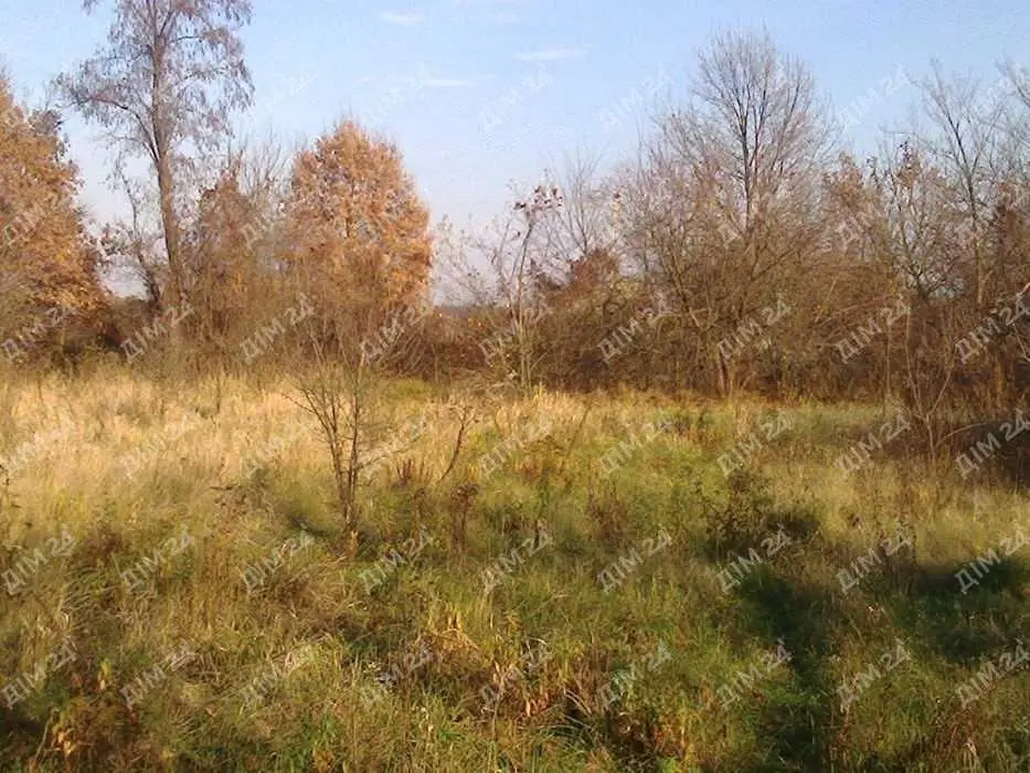 Ділянка у Петрівці, 15 соток, біля річки.