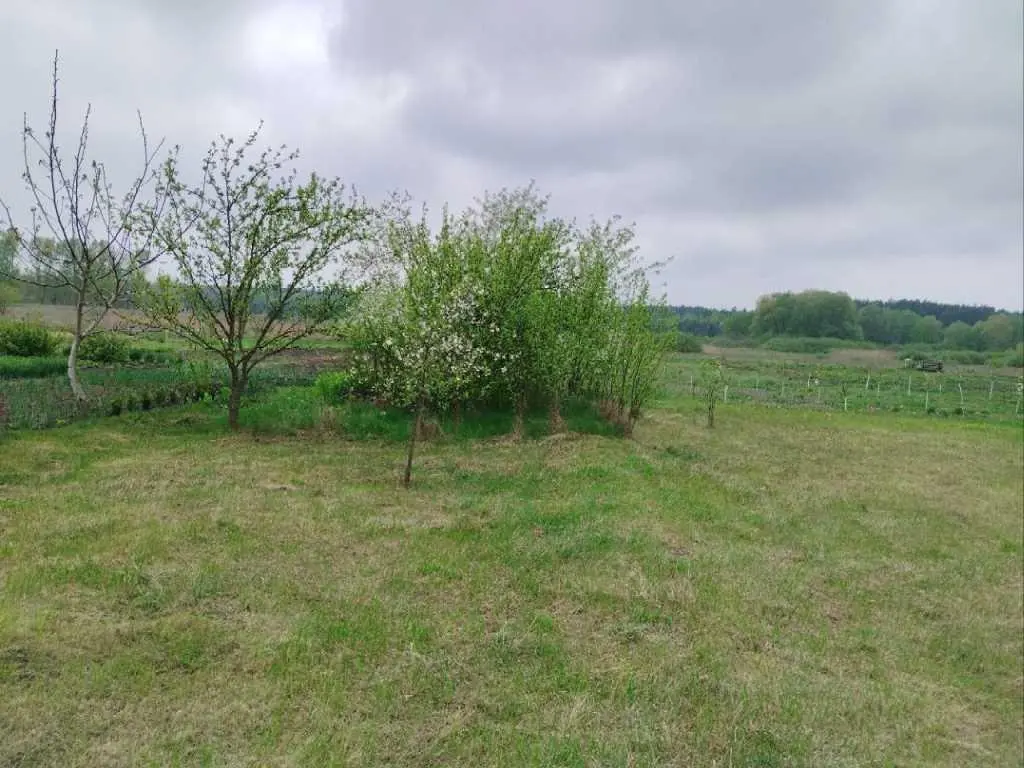 Земельна ділянка під забудову, Марківка