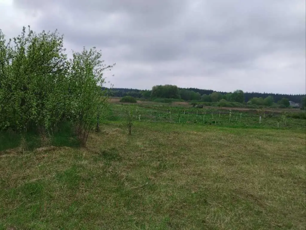 Земельна ділянка під забудову, Марківка