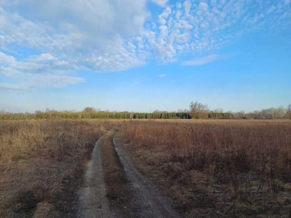 Ділянка в дачному кооперативі, Петрівка