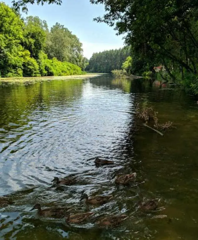 Дачна ділянка біля річки.