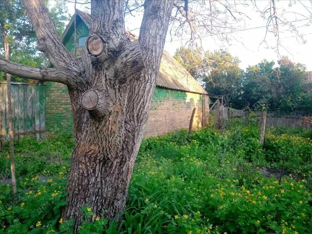 Тахтаулове. Гарна локація для будівництва сучасного будинку.  