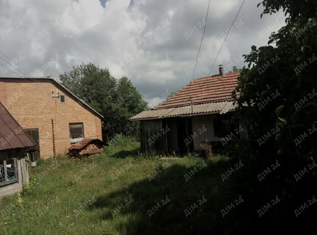 Відпочинь від міста у лісі!