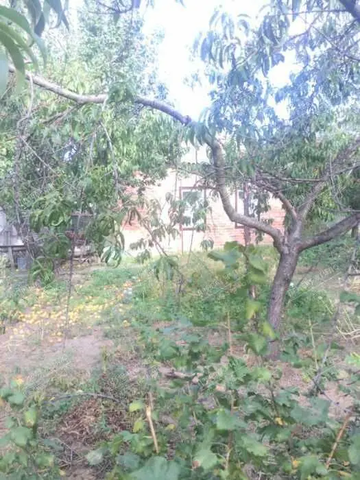 Бюджетний будинок в 4 км від міста.