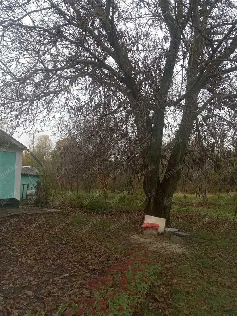 Окремий будинок в передмісті.