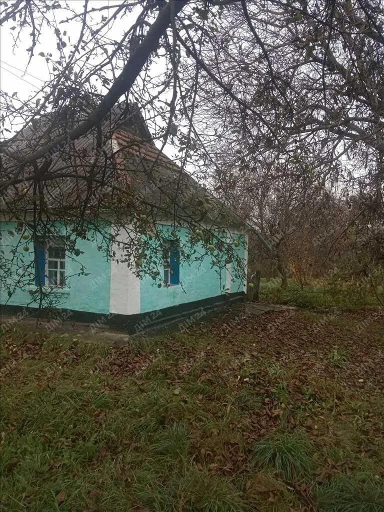 Окремий будинок в передмісті.