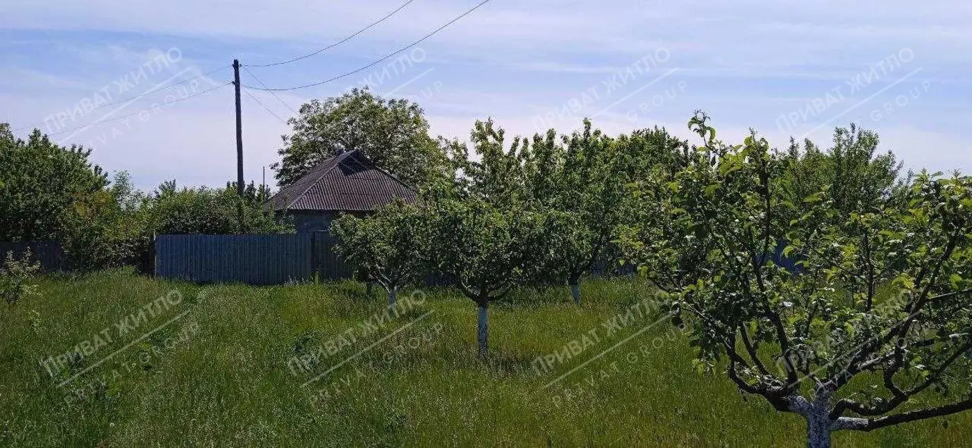 Окремий будинок в селі Бузова Паськівка (20 км від міста)