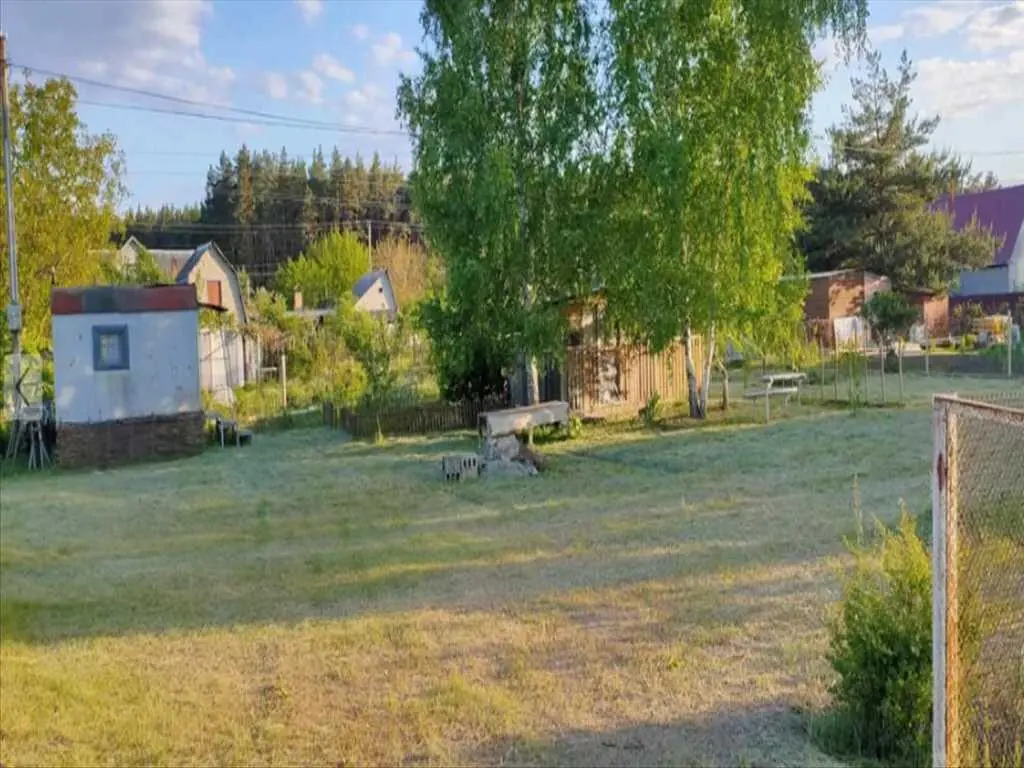 Ділянка в сосновому лісі