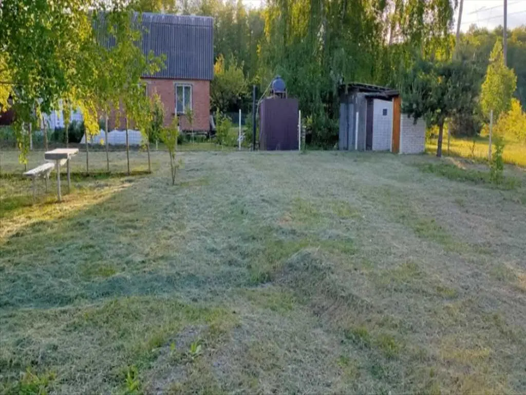 Ділянка в сосновому лісі