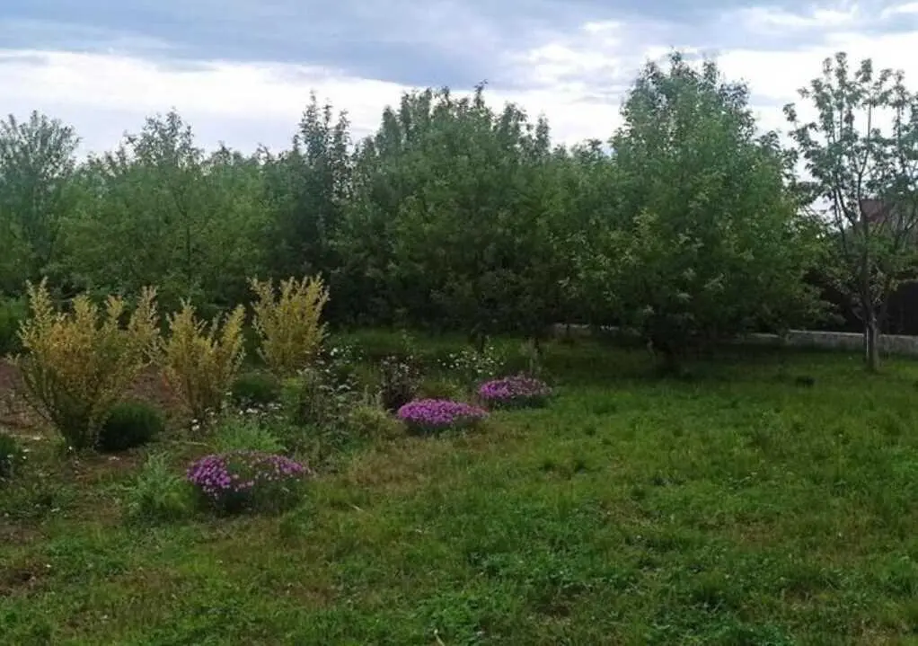 Просторий будинок в тихому місці