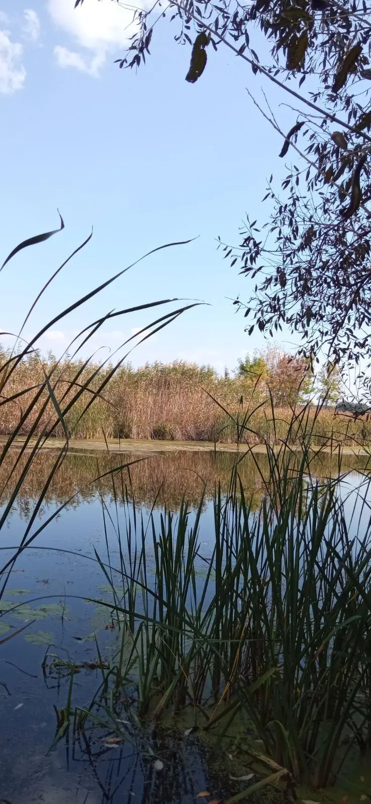 Будинок в тихому селі Коломак!