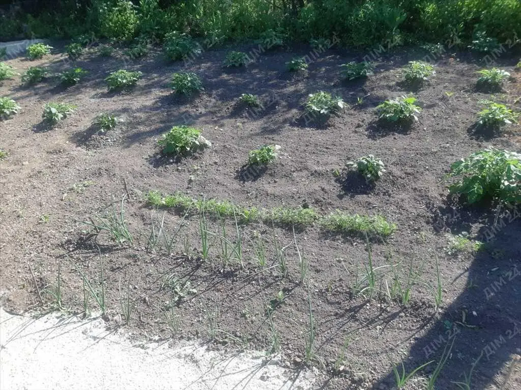 Ділянка в Івашках під СТО