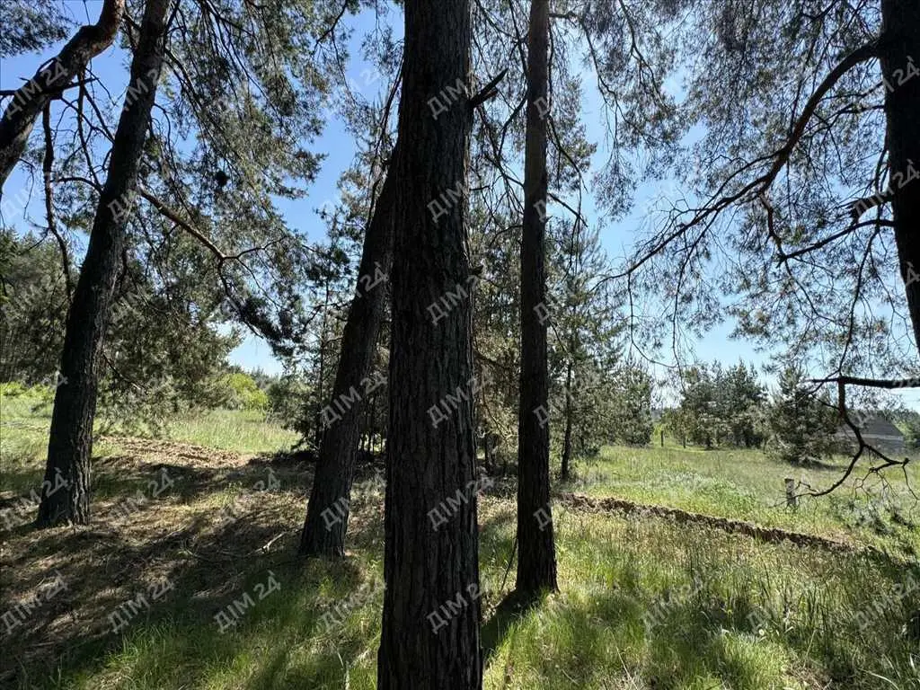 Дачна ділянка в Петрівці.