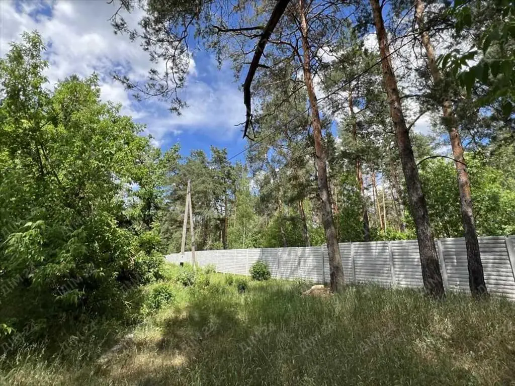 Велика ділянка в сосновому лісі!