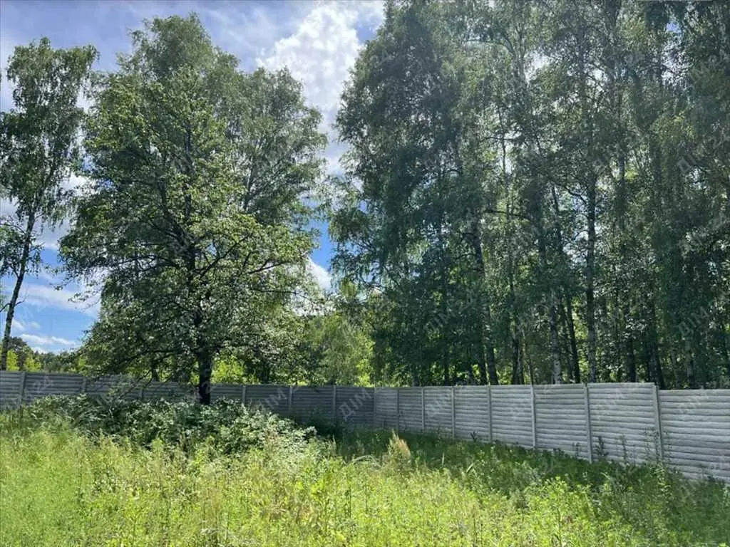 Велика ділянка в сосновому лісі!