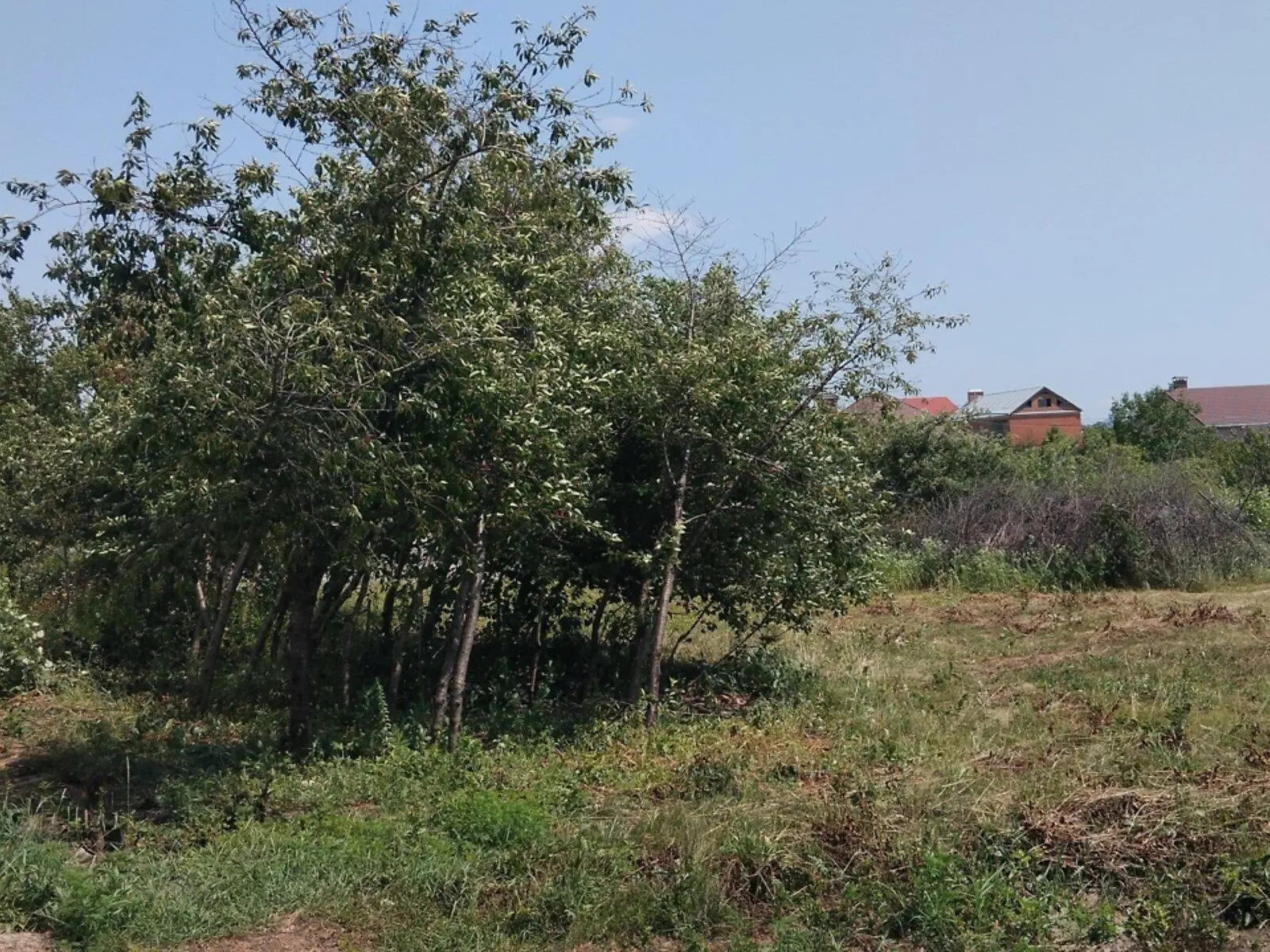 Ділянка під будівництво в Говтвянчику