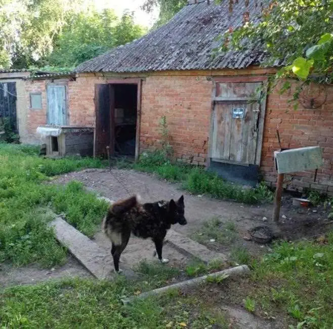 Продаж частини будинку