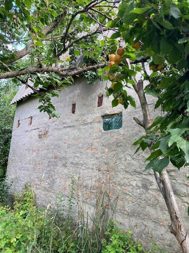 Дачна ділянка з будинком гаражного типу.

