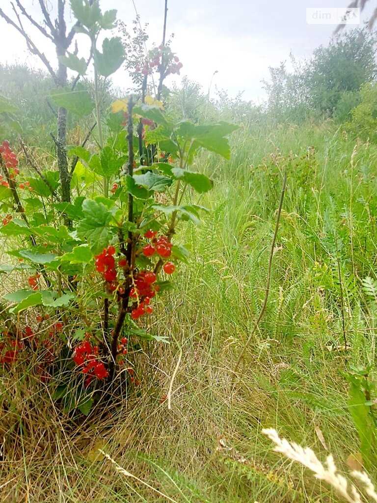 Ділянка під забудову. Село Жуки