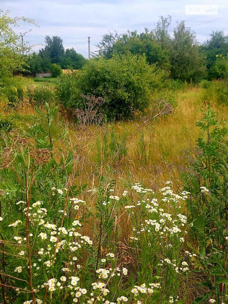 Ділянка під забудову. Село Жуки