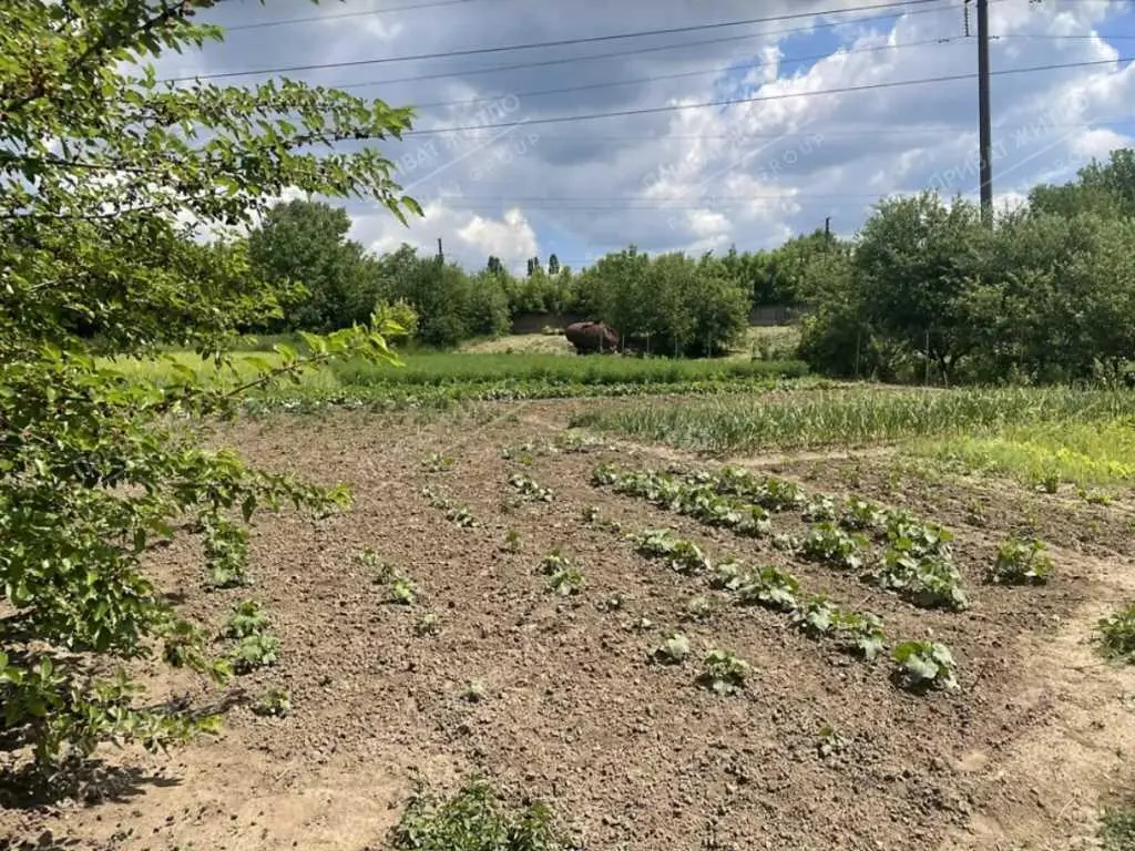 Просторий, добротний будинок в Супрунівці!
