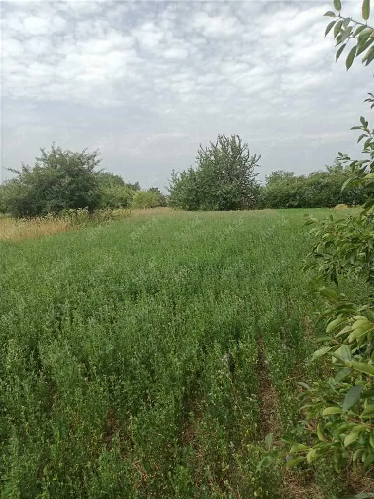 Ділянка неподалік лісу та річки.