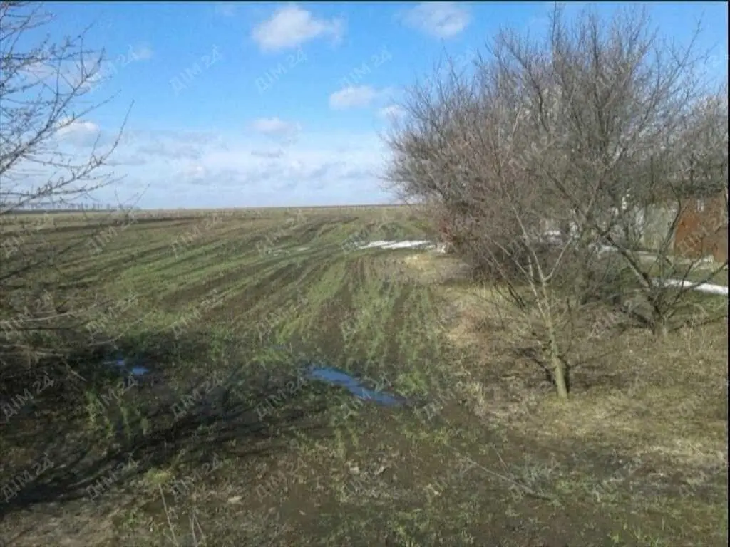 Ділянка в Абазівці на асфальтованій вулиці. 