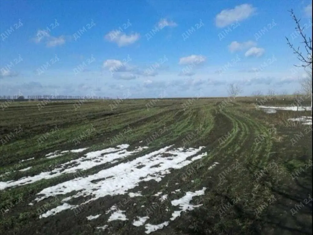 Ділянка в Абазівці на асфальтованій вулиці. 