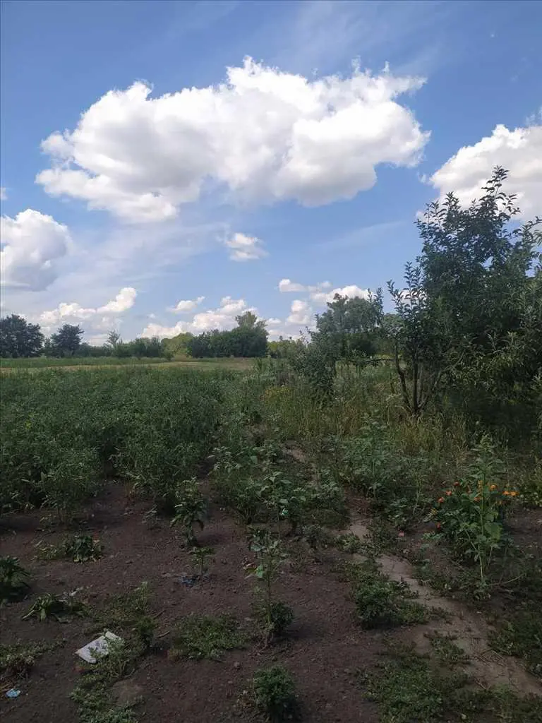 Гарна земельна ділянка в передмісті Полтави (Шостаки)


