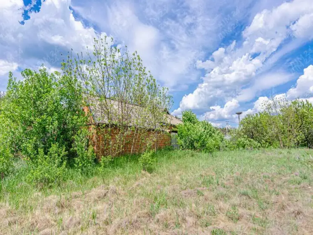 Чудовий будинок поруч з лісом поруч з Полтавою.
