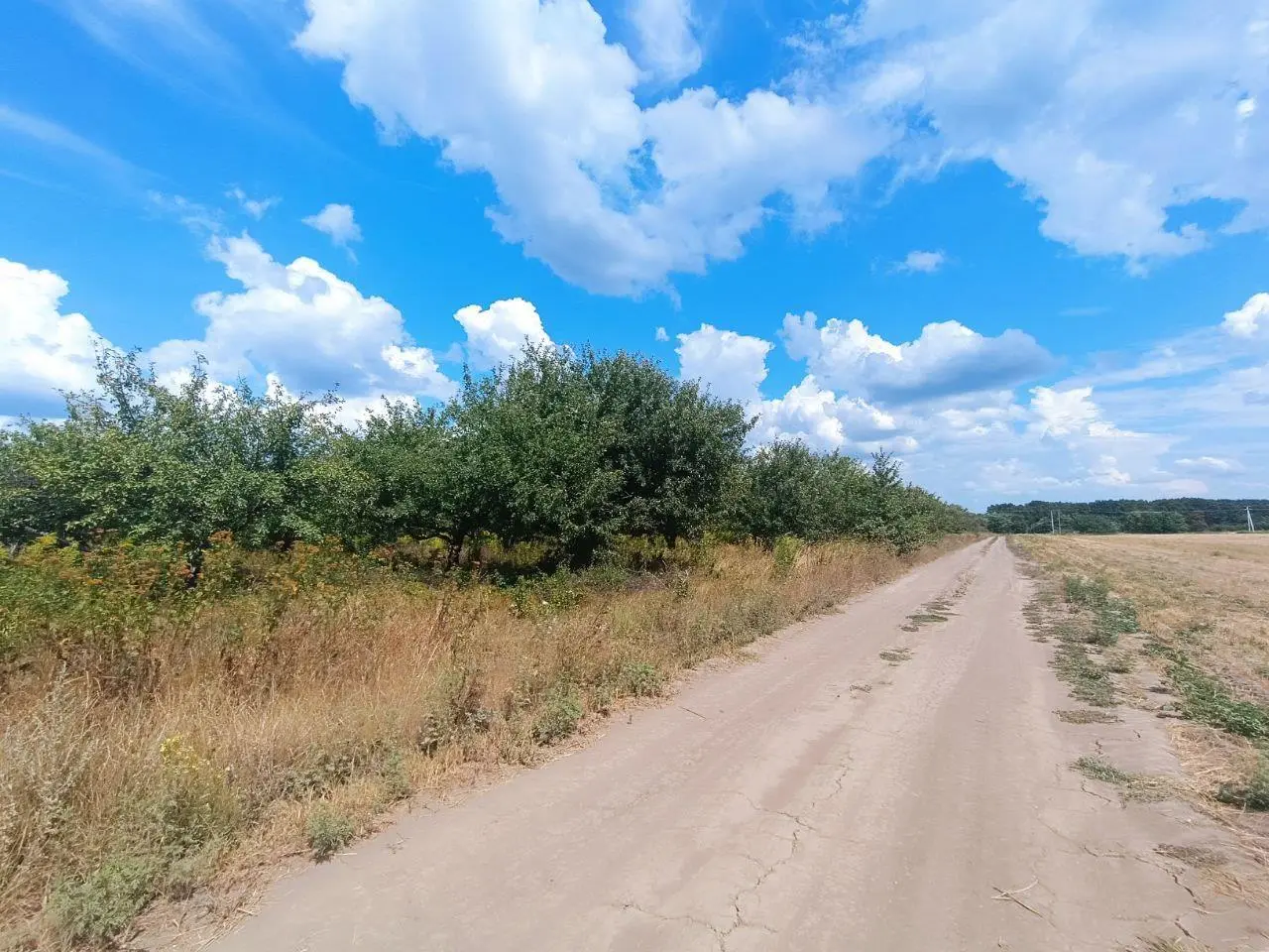 2,75 га в Щербанях