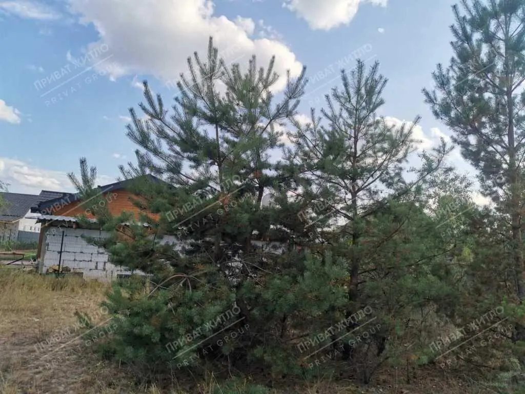 Ділянка під забудову в Ліску