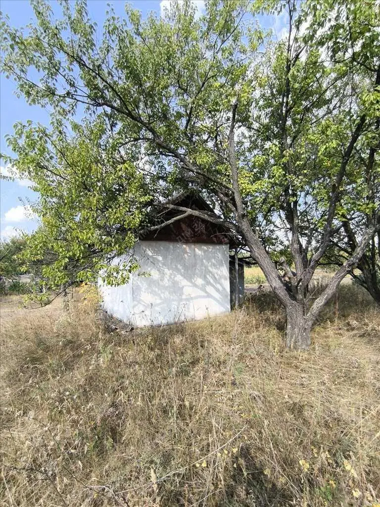 Садова ділянка за містом.