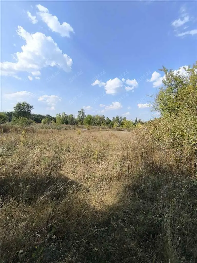 Садова ділянка за містом.