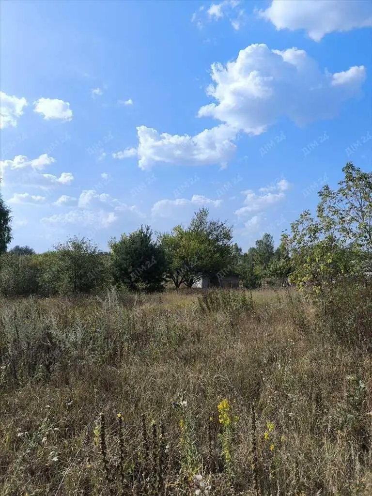 Садова ділянка за містом.