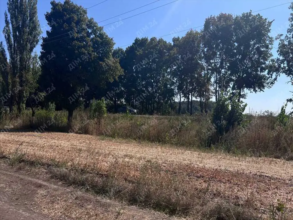 Земельна ділянка в Мачухах