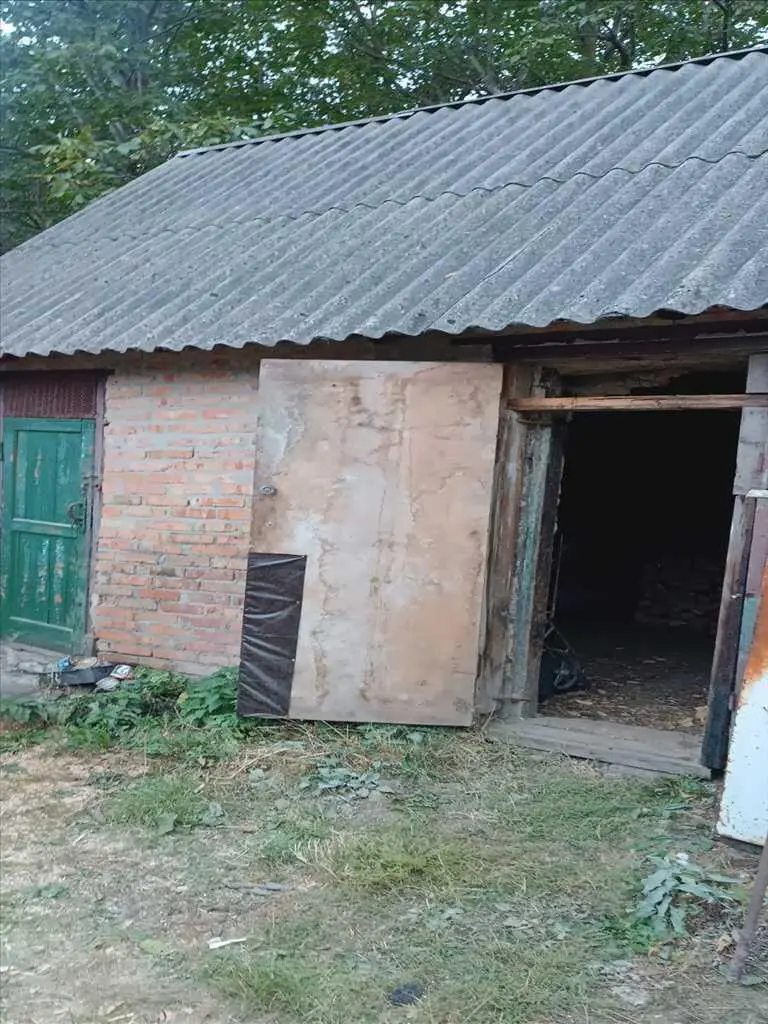 Будинок в оточенні лісу!