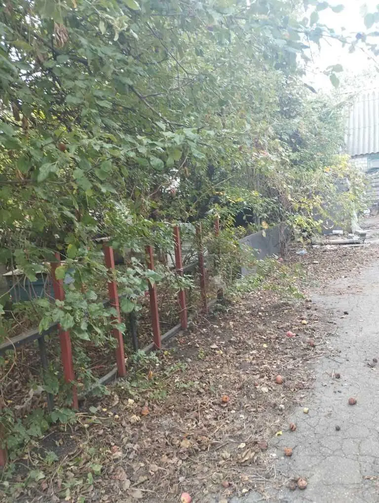 Два будинки по ціні одного!