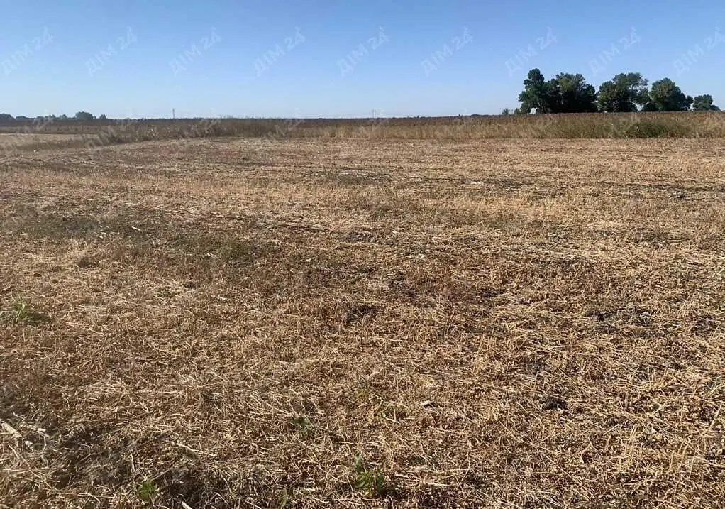 Ділянка під с/г використання