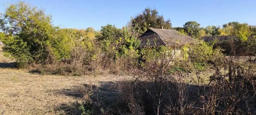 У продажі будинок під знос в селі Кунцеве