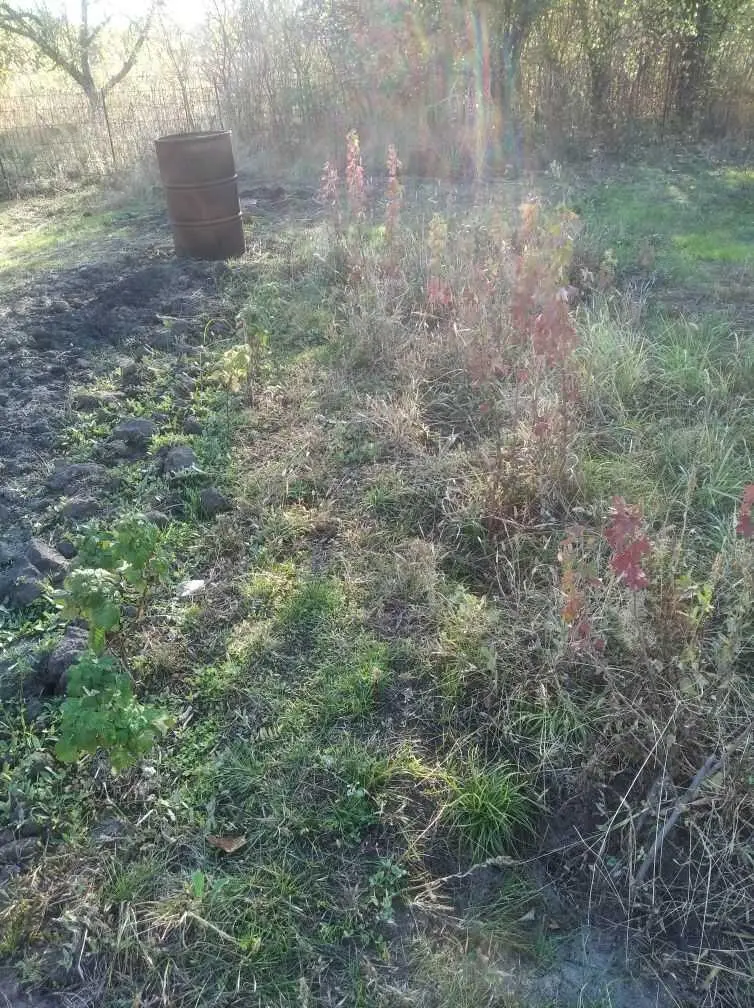 Дачна ділянка з будинком в Ватажково! 