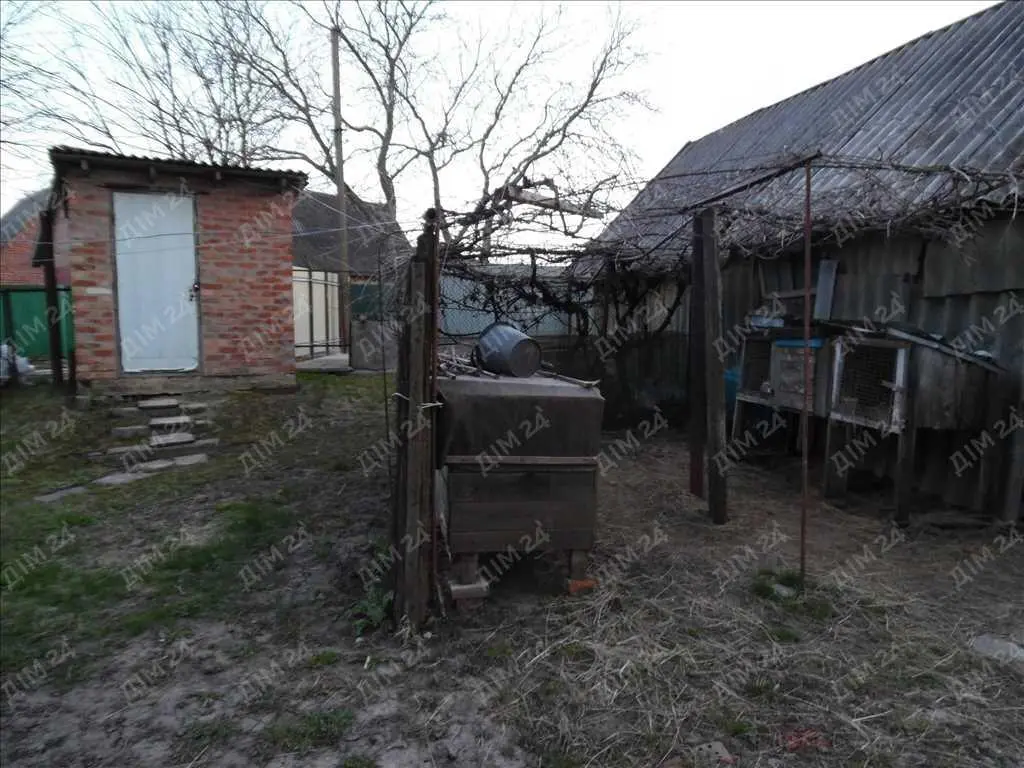 Дача, земельна ділянка в Диканці